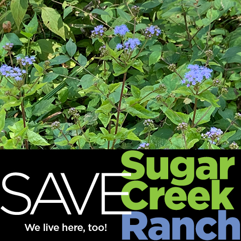 Save Sugar Creek Ranch
